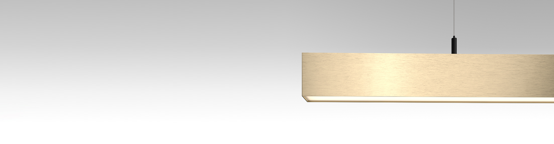 SLD50