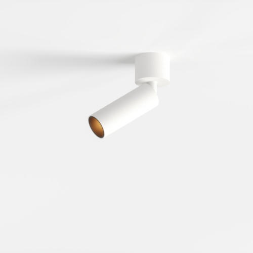 Nyto Surface Adjustable 30 Round 1x