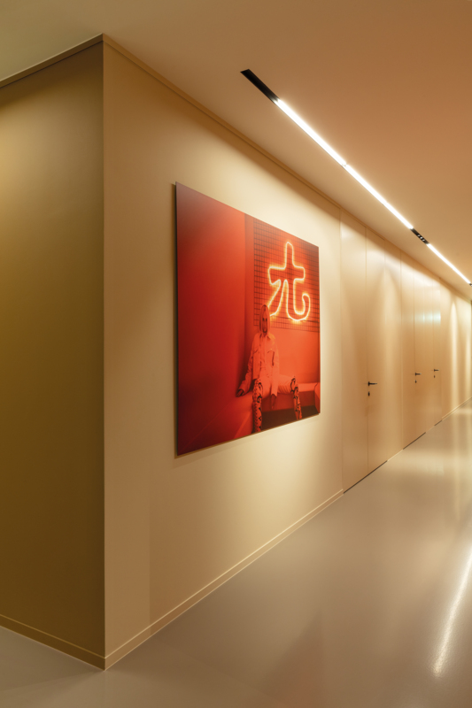 SLD50 Naked Recessed Trimless