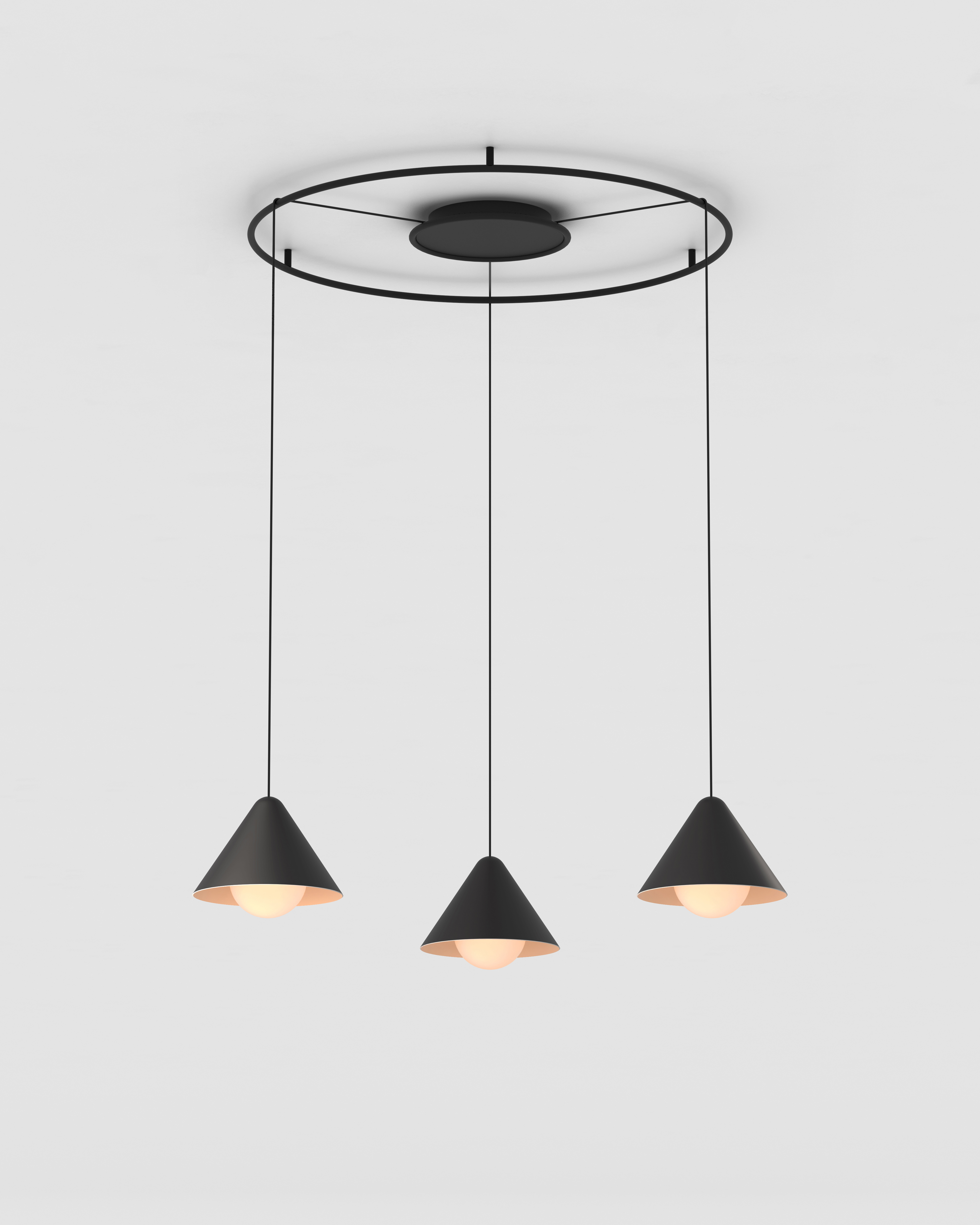 Placebo Kompas Suspended | Modular Lighting Instruments